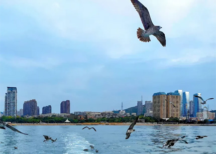 中国（日照）新闻摄影周优秀作品全国巡展19日在上海开幕