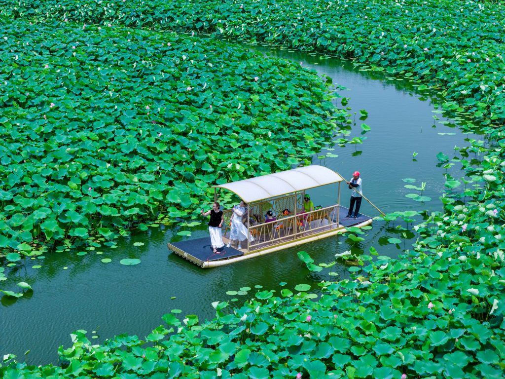 大暑：炎蒸藏荷韵，暑尽待秋来