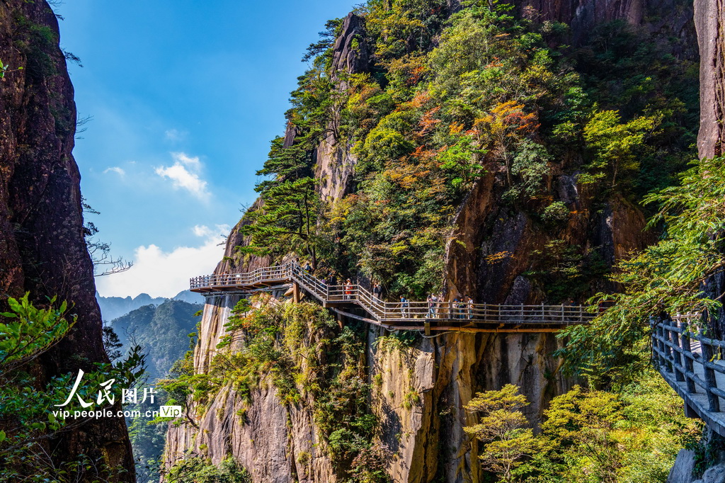 安徽：秋染黄山 层峰叠翠引客来【3】