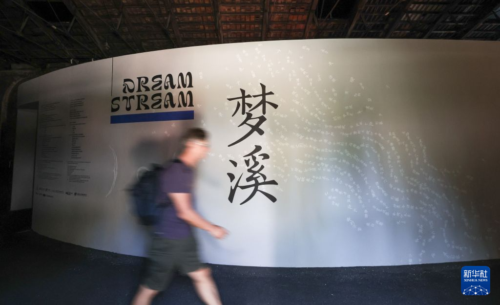 威尼斯国际艺术双年展:中国馆掠影