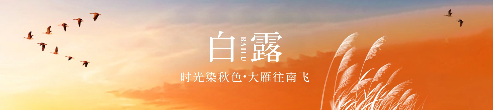 白露