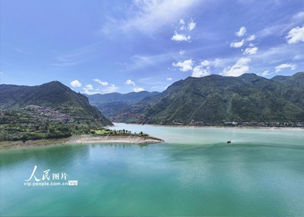 重庆：长江巫峡段现“泾渭分明”鸳鸯景观