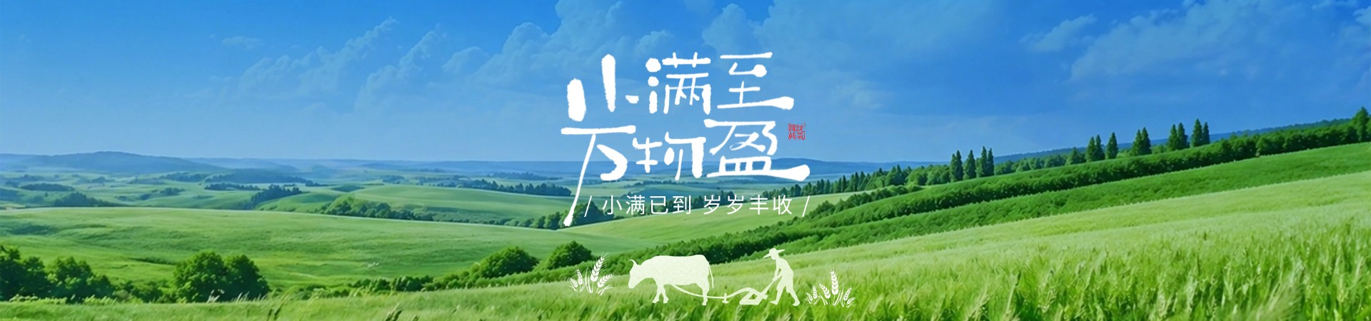 小满至  万物盈