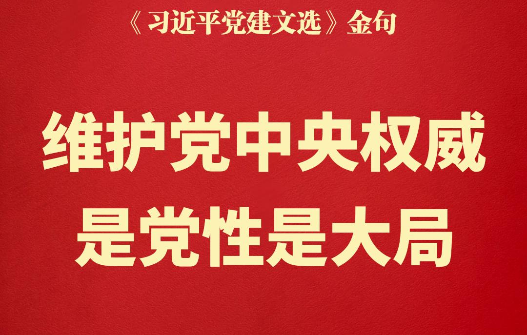 维护党中央权威是党性是大局